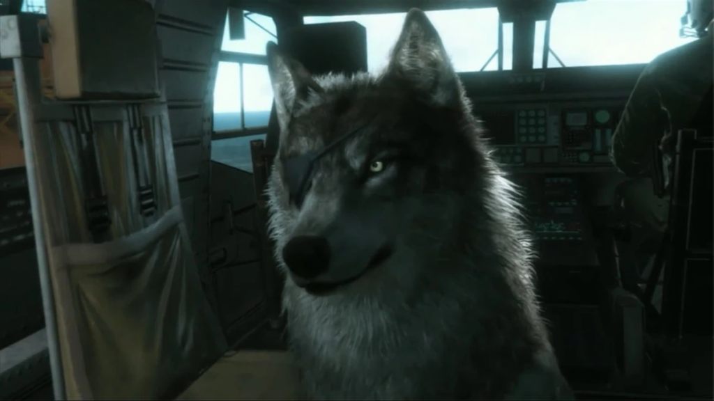 D-DOG em MGS5