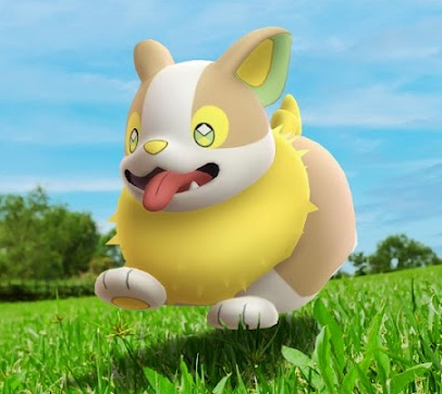 Pokémon Yamper