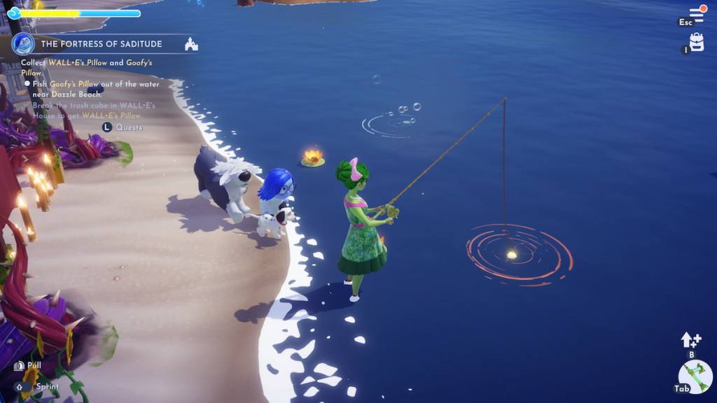 Pescando do ponto de bolha de ouro para travesseiro pateta no DDV