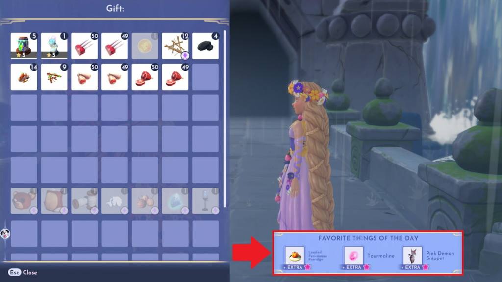 Os itens favoritos do dia de Rapunzel marcados no DDV