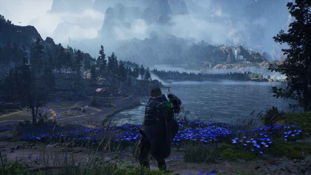 Um lindo lago e campo no inferno somos nós.