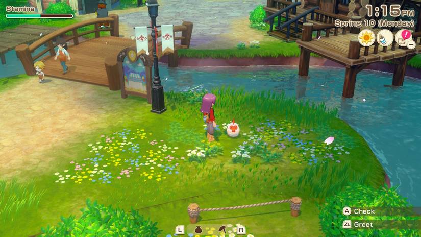 Esta imagem mostra o personagem do jogador em uma área gramada, ao lado de uma galinha. Ao lado deles há uma casa do lago e uma ponte.