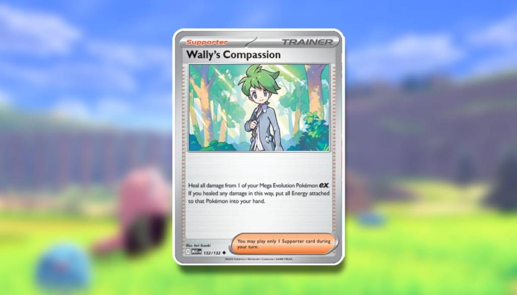 A compaixão de Wally é visível