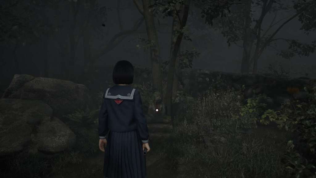Olhando para a estátua de Jizu por trás dos campos de colheita, no caminho antes da entrada do santuário de Sakuko
