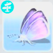 Jorjan Birdwing no Sims 4