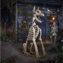 Cachorro Skelly Sentado (5 pés) com olhos LCD