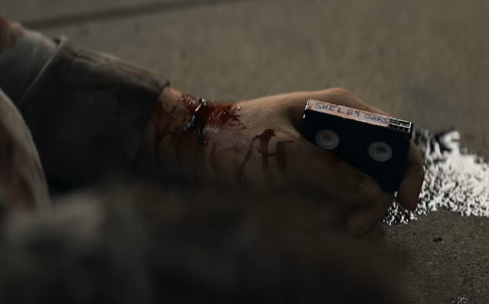 carvalhos shelby 1