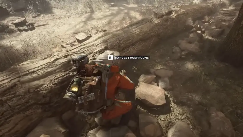 Cogumelos em ARC Raiders
