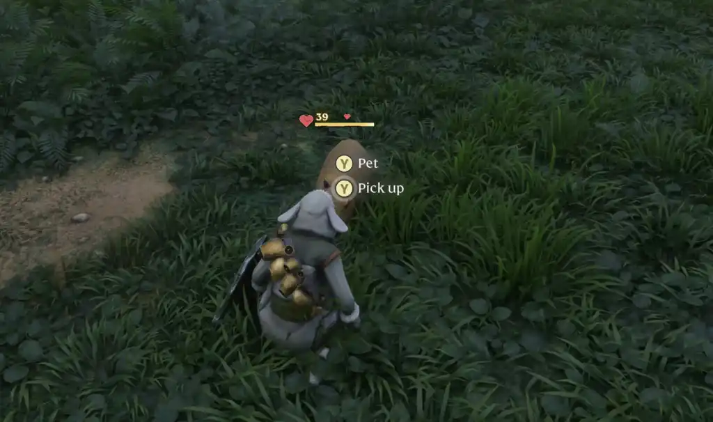 Uma captura de tela de Enshrouded mostrando o personagem do jogador agachado para domar uma capivara à sua frente. A capivara tem uma barra de saúde amarela e corações vermelhos próximos a ela.