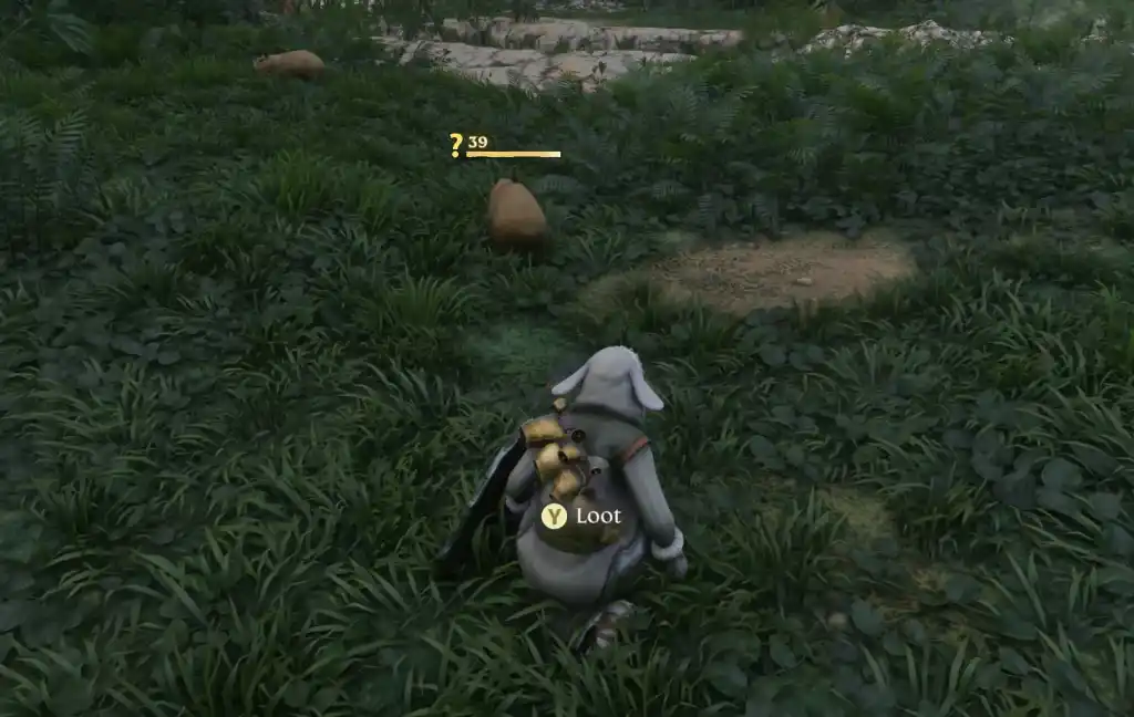 Uma captura de tela de Enshrouded mostrando o personagem do jogador agachado para domar uma capivara à sua frente. A capivara possui um ponto de interrogação amarelo próximo ao seu nível.