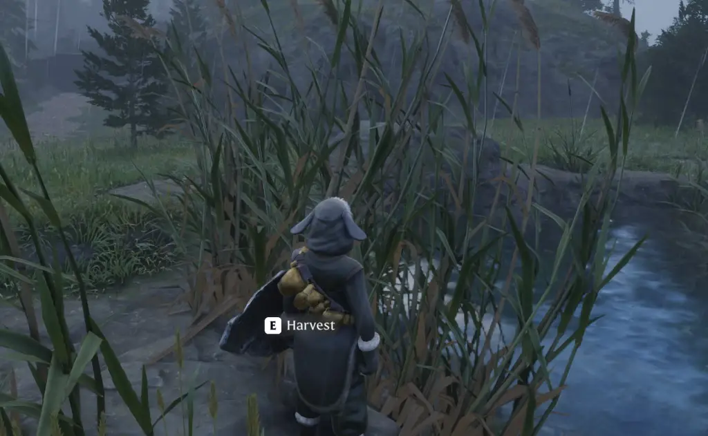 O personagem do jogador vestindo uma fantasia de cordeiro em Enshrouded fica ao lado de um pequeno lago. Uma planta alta e magra chamada Paper Reeds aparece na frente deles.