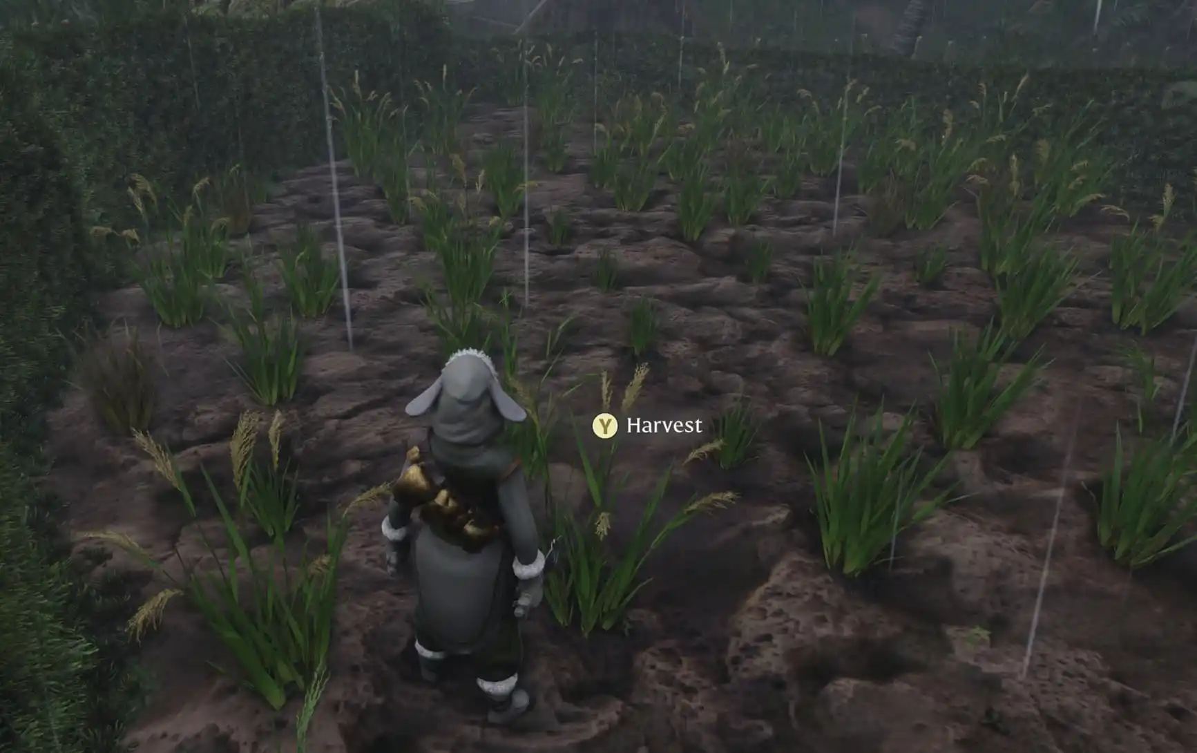 Uma imagem em Enshrouded mostrando o jogador parado em frente à grama em um campo arado.