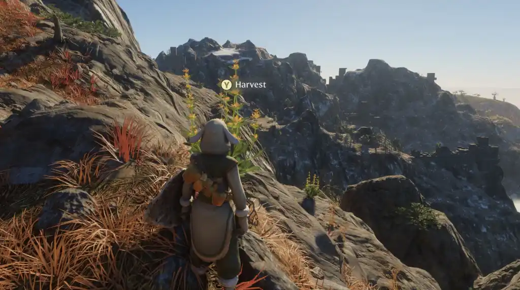 O jogador em Enshrouded olha para uma planta com flores amarelas na beira de um penhasco.