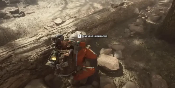 Cogumelos em ARC Raiders