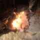 Uma captura de tela do Path of Exile 2 mostrando a forma wyvern do Druida cuspindo fogo