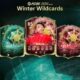 Dan Ndoye no FC 26 Ultimate Team
