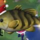 Todos os locais de peixes festivos em Disney Dreamlight Valley – Destructoid