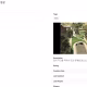 Uma captura de tela do sistema Social Jobs da Rockstar. Mostra uma missão de um usuário que recriou a missão do assassinato de Charlie Kirk no GTA Online.