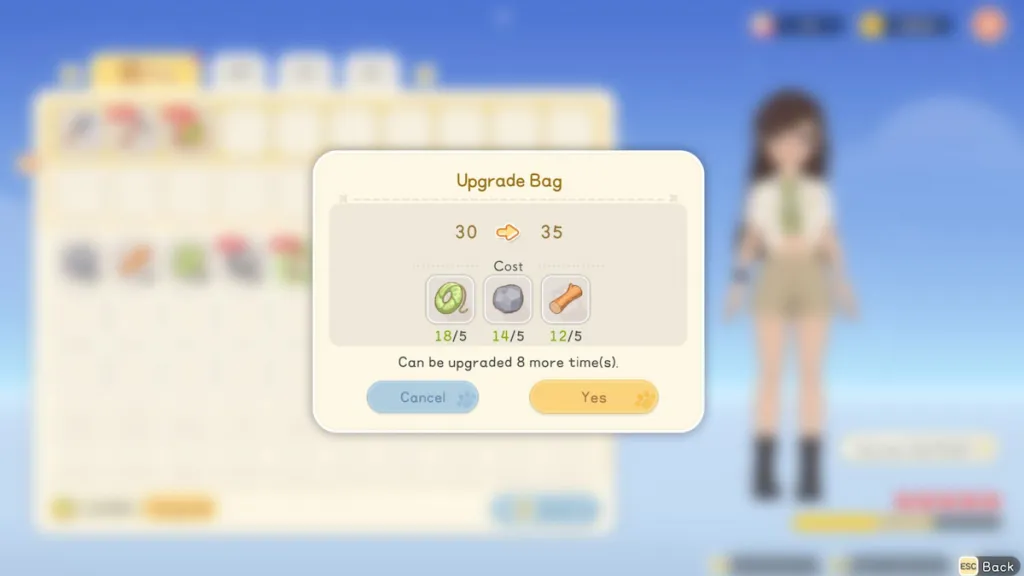 Bolsa de atualização em Starsand Island