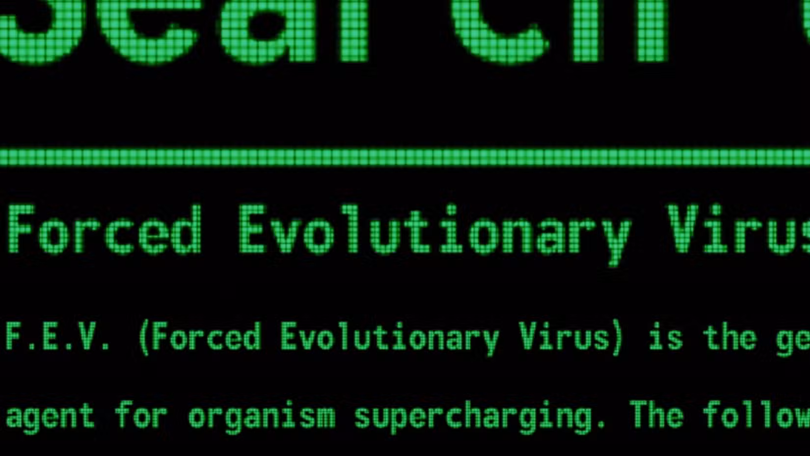 Uma imagem de um terminal com palavras verdes. Diz FEV (Vírus Evolutivo Forçado).