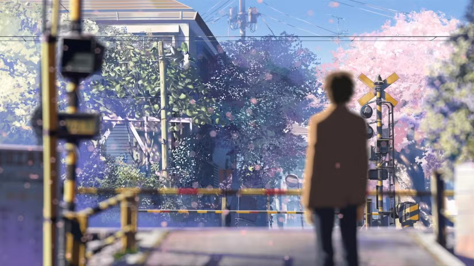 Um homem observa as flores de cerejeira enquanto está em uma estação de trem em 5 centímetros por segundo