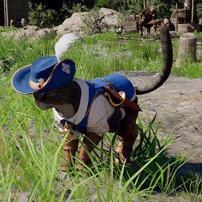 Um gato vestindo uma roupa de mosqueteiro azul com uma pequena adaga no Deserto Carmesim.