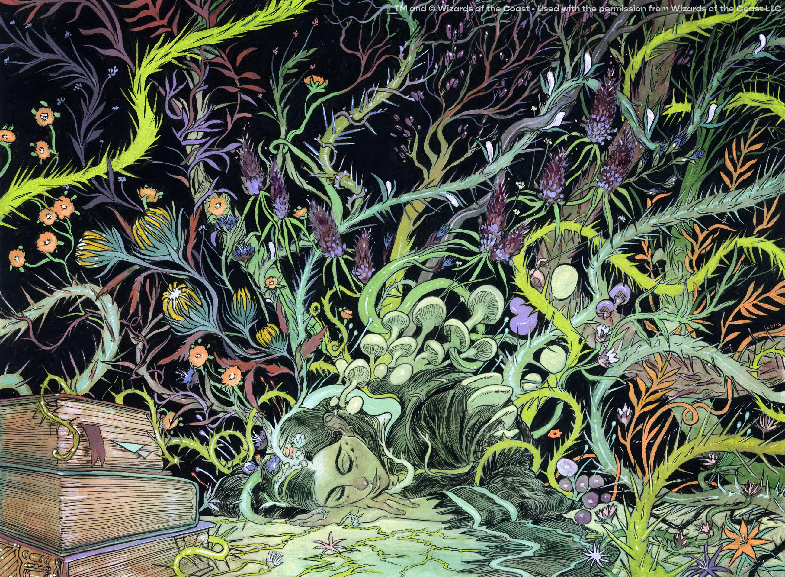 elliot lang Mind Roots mtg