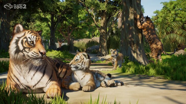 Planet Zoo 2 é anunciado com animais aquáticos e voadores; lançamento em outubro para PC, PS5 e Xbox Series