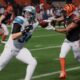O jogo da NFL da 2K está morto, o CEO da Take-Two descarta o retorno aos jogos de beisebol