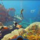 Subnautica 2: desenvolvedora pede desculpas por comentários sobre matar peixes, mas descarta armas no jogo