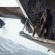 Fim de uma era: Call of Duty: Warzone deixará de funcionar no PS4 e Xbox One