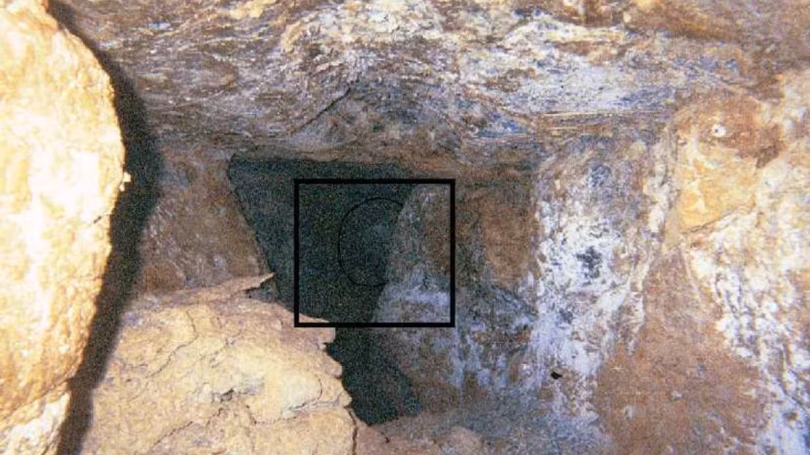 Ted the Caver image