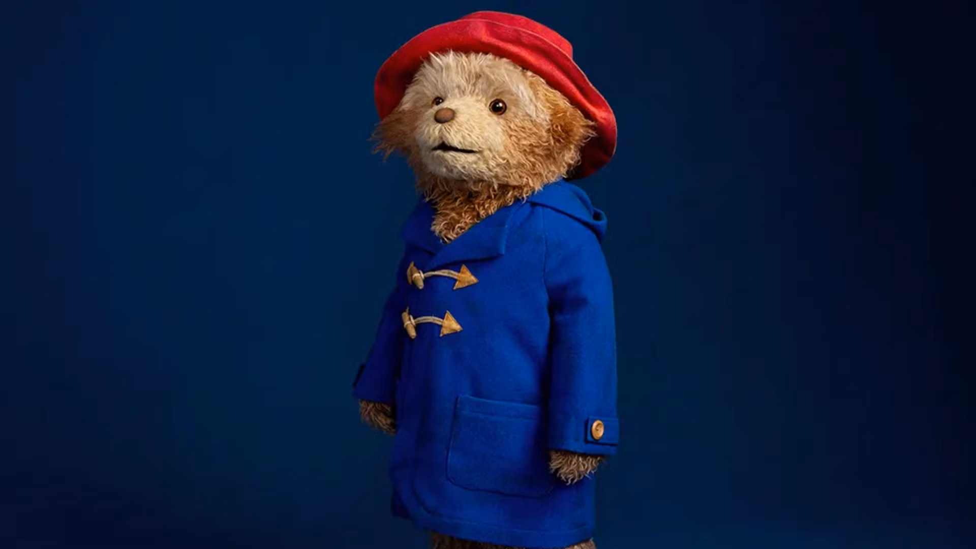 Paddington-The-Musical-is-headed-for-Broadway-next-year-hYtWoa.jpg