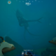 Subnautica 2: atualização 1.1 trará nova região, veículo e mais sustos; multiplayer ganha melhorias