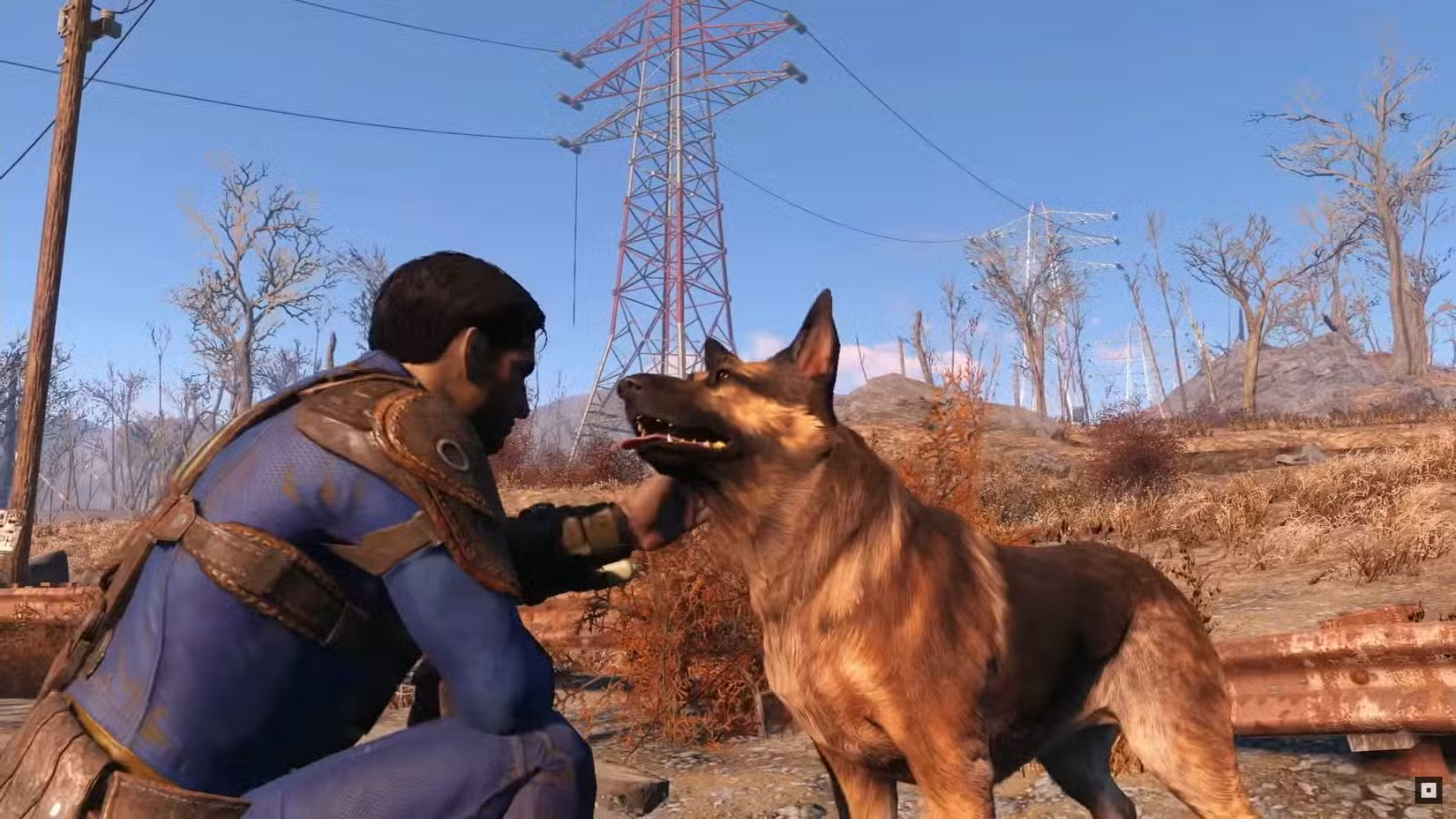 Dogmeat