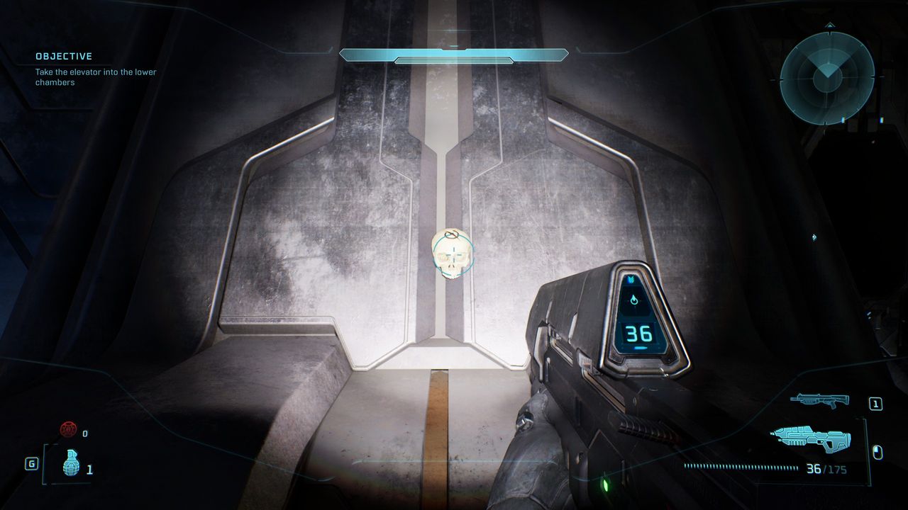 Halo