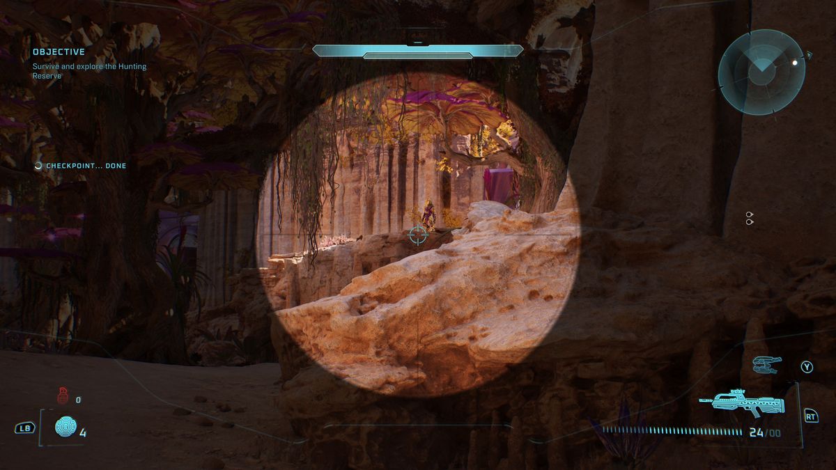 Halo