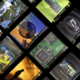 Nvidia lança cards colecionáveis da GeForce: gratuitos, mas só dá para conseguir em eventos ou sorteios
