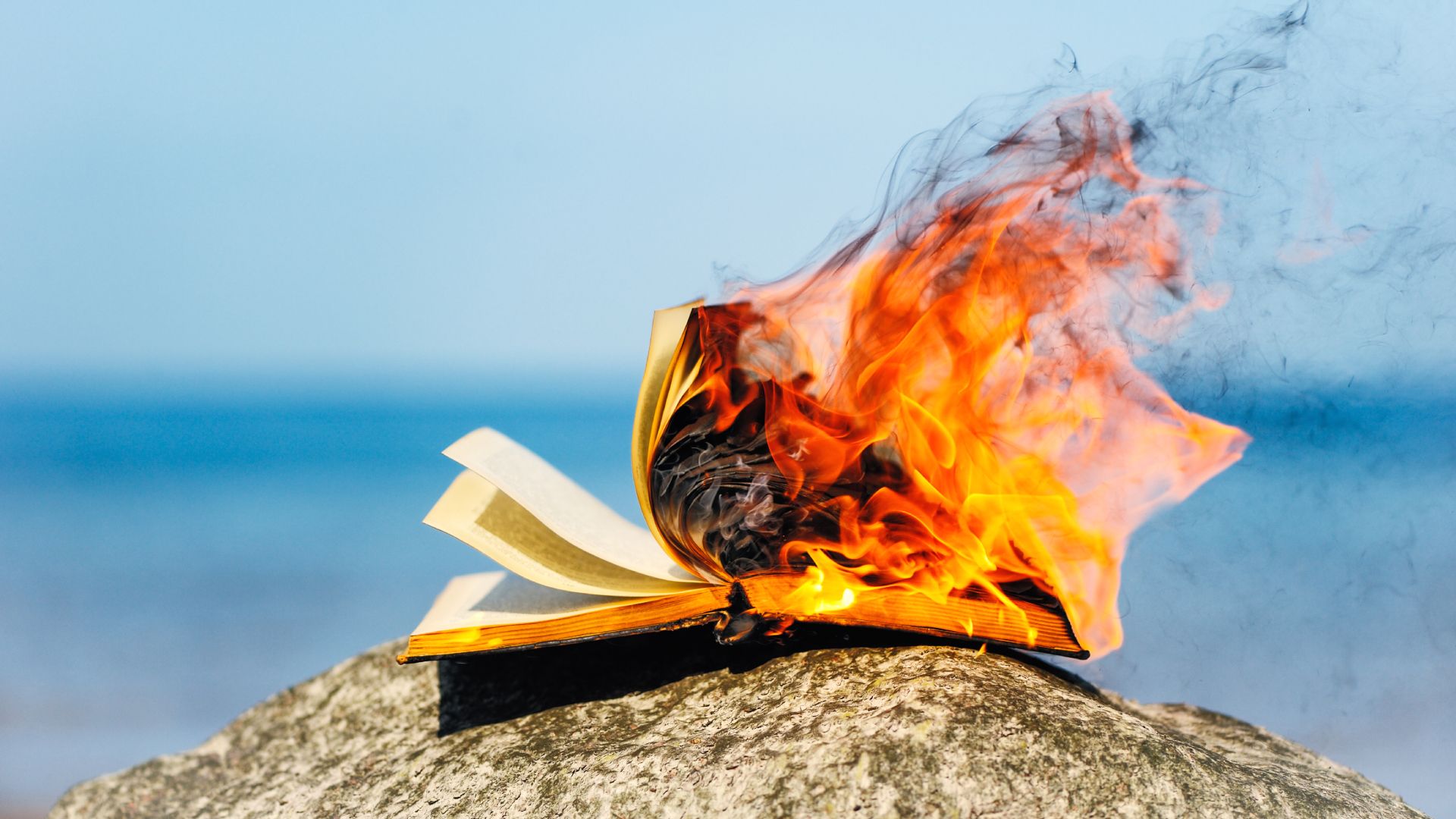 Empresas de IA compram e destroem milhões de livros em sigilo para evitar má reputação