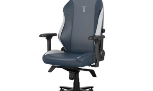 Secretlab Titan Evo gaming chair in Royal colouring, on a white background
