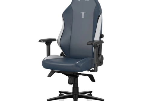 Secretlab Titan Evo gaming chair in Royal colouring, on a white background