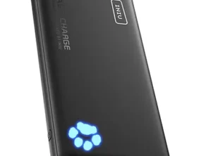 INIU 10,000mAh 20W USB Power Bank