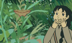 Mothkeep: o jogo relaxante de observação de mariposas que conquista fãs de jogos tranquilos