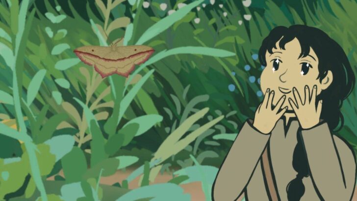 Mothkeep: o jogo relaxante de observação de mariposas que conquista fãs de jogos tranquilos
