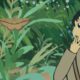 Mothkeep: o jogo relaxante de observação de mariposas que conquista fãs de jogos tranquilos