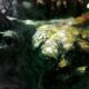 Total War: Warhammer 3 terá novos finais de campanha, condições de vitória individuais e reforma dos Condes Vampiro