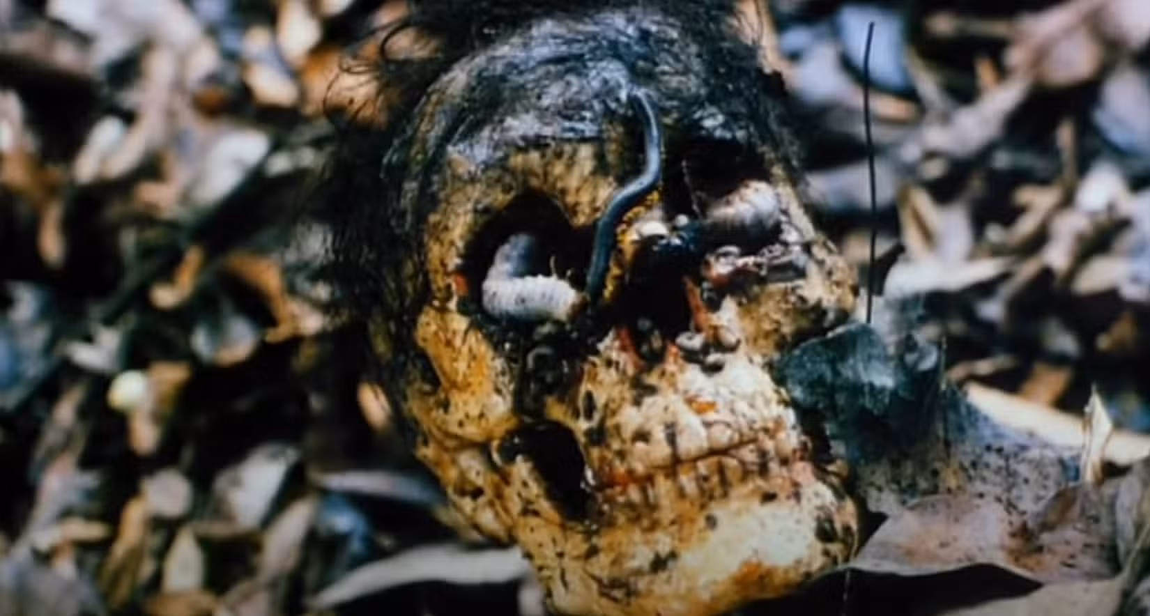 cannibal