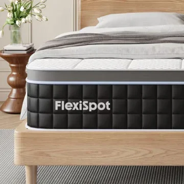 Flexispot