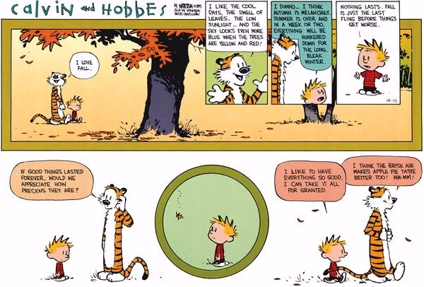 Calvin