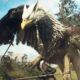 Dragons Dogma 2 anuncia modo difícil para jogadores veteranos e detalha desafios da expansão Dark Arisen